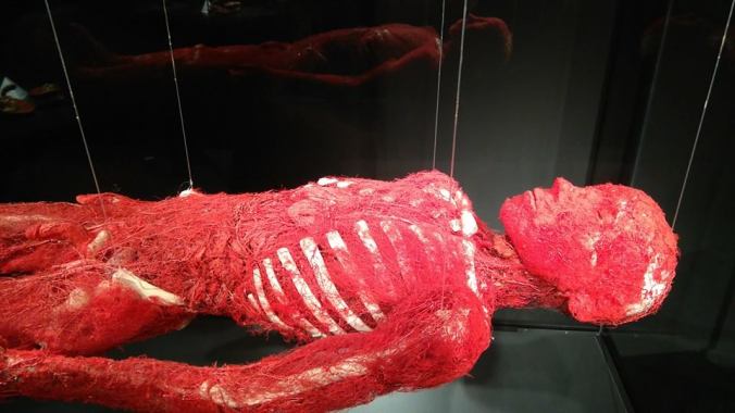 20953536_10155408395455272_5034873783544968687_n